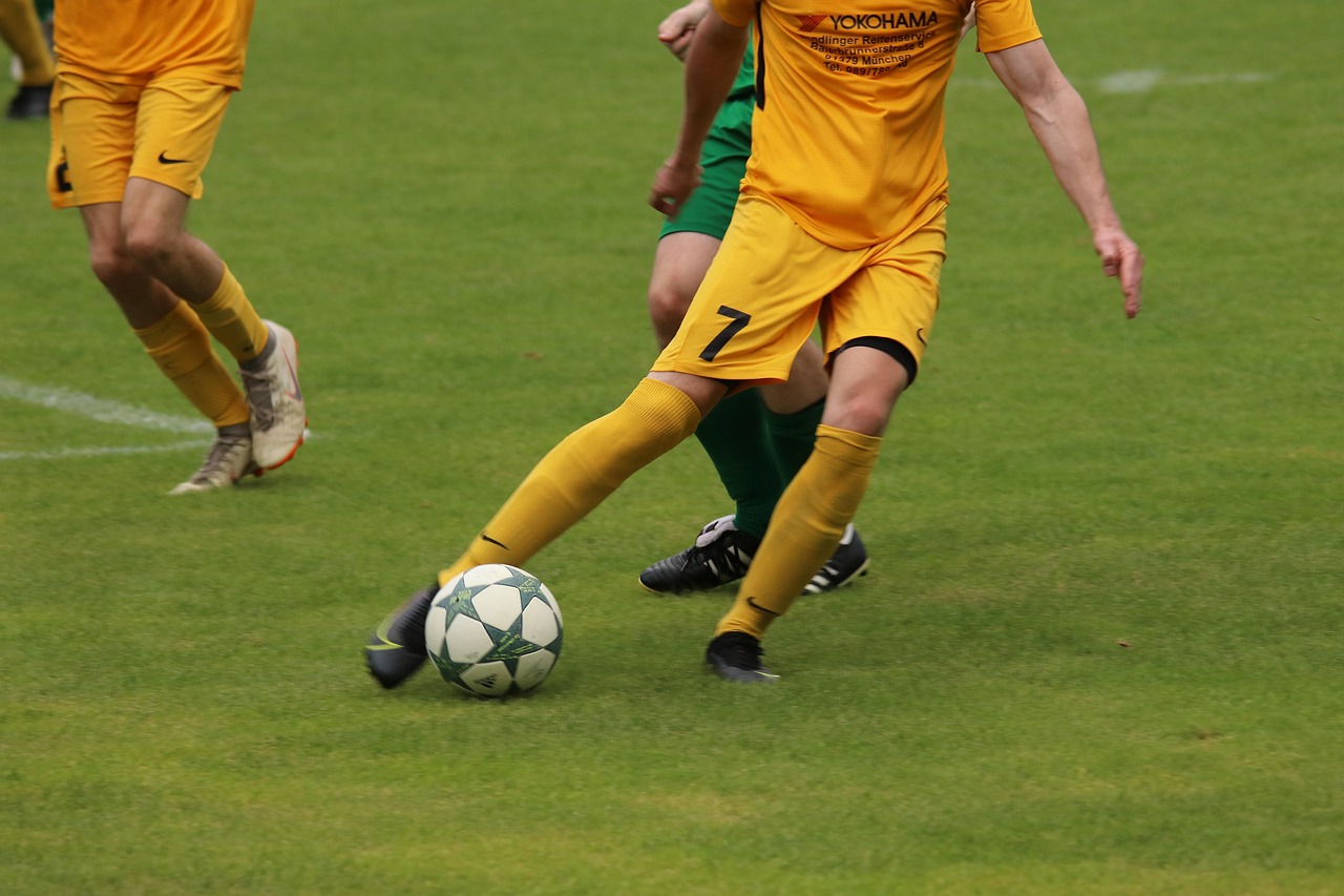 体条件的限 体条件的限