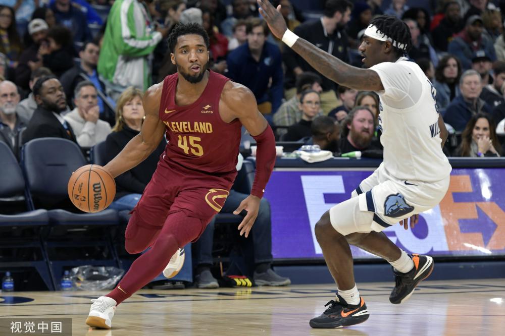 科斯蒂奇目 科斯蒂奇目